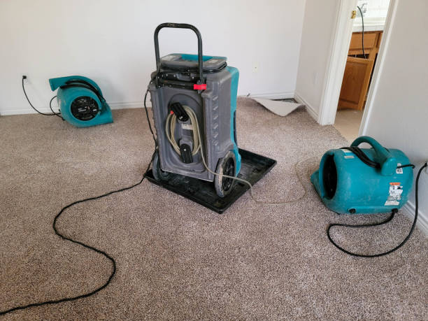 Best Ceiling water damage repair  in Palm Beach, FL
