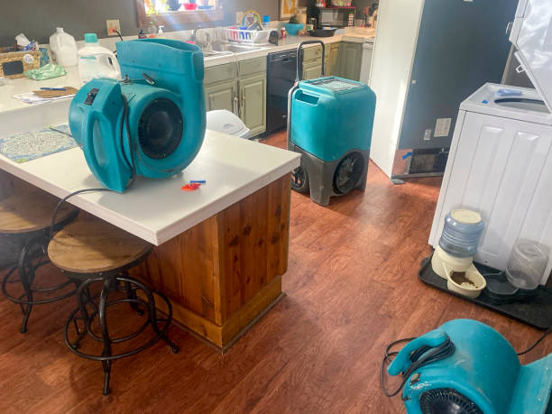 Best Water damage restoration insurance claims  in Palm Beach, FL