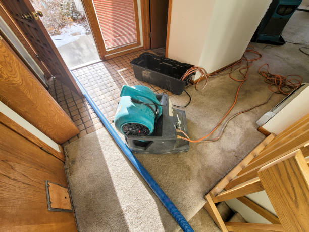 Best Water damage cleanup near me  in Palm Beach, FL