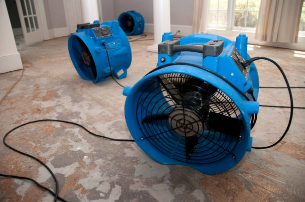 Best Residential water damage restoration  in Palm Beach, FL