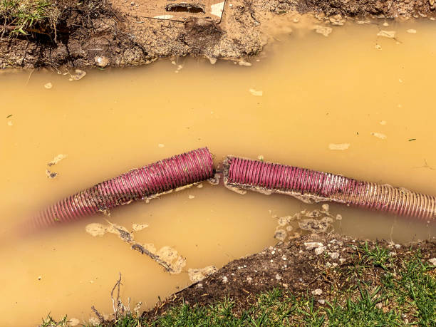 Best Water damage contractors near me  in Palm Beach, FL