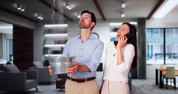 Best 24/7 water damage repair  in Palm Beach, FL